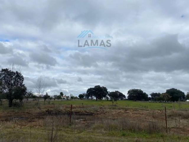 Terreno en venta en Navalmoral De La Mata, Extremadura
