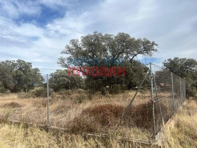 Terreno en venta en Navalmoral De La Mata, Extremadura