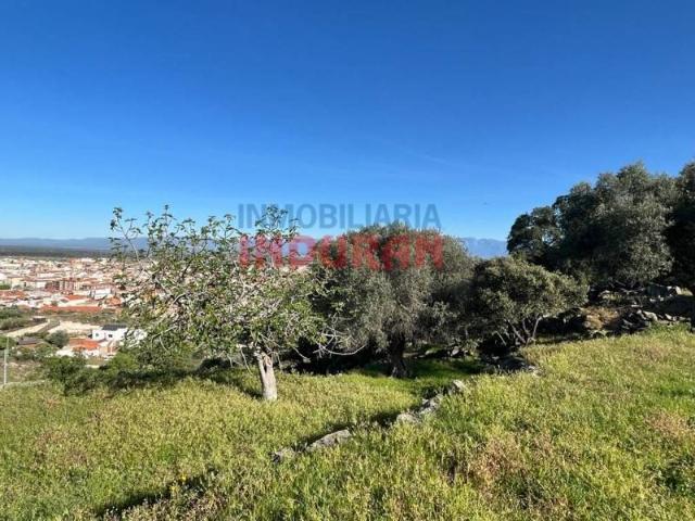 Terreno en venta en Navalmoral De La Mata, Extremadura