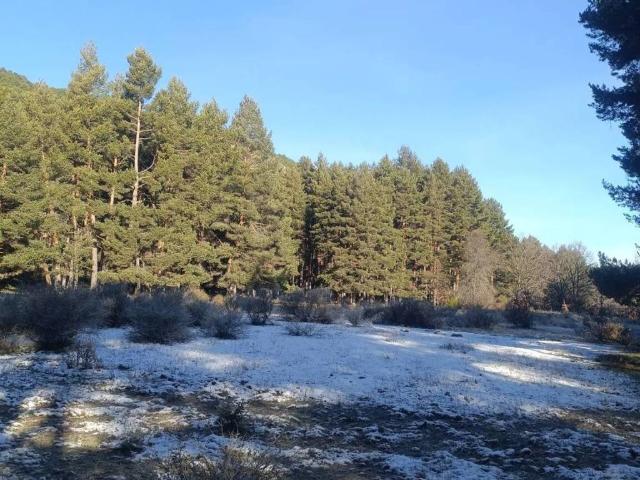 Terreno en venta en Navalonguilla