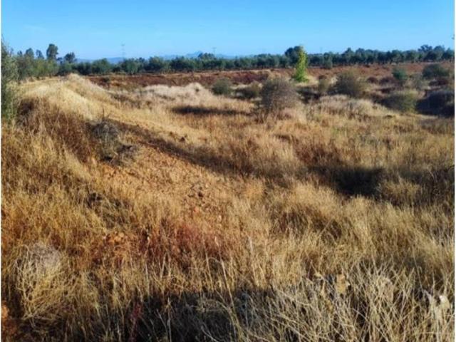 Terreno en venta en Navalvillar De Pela