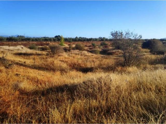 Terreno en venta en Navalvillar De Pela, Extremadura