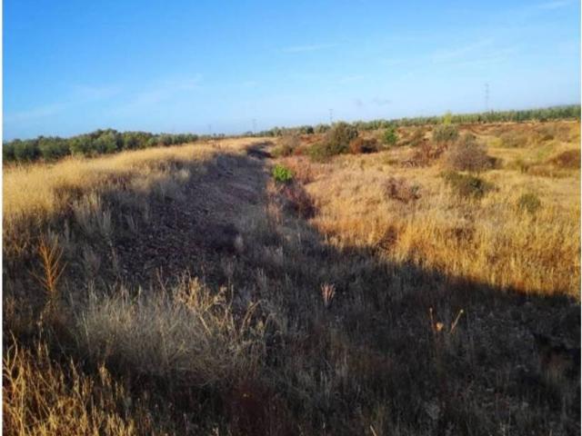 Terreno en venta en Navalvillar De Pela, Extremadura