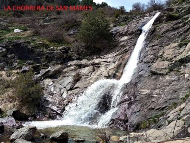 Terreno en venta en Navarredonda Y San Mamés