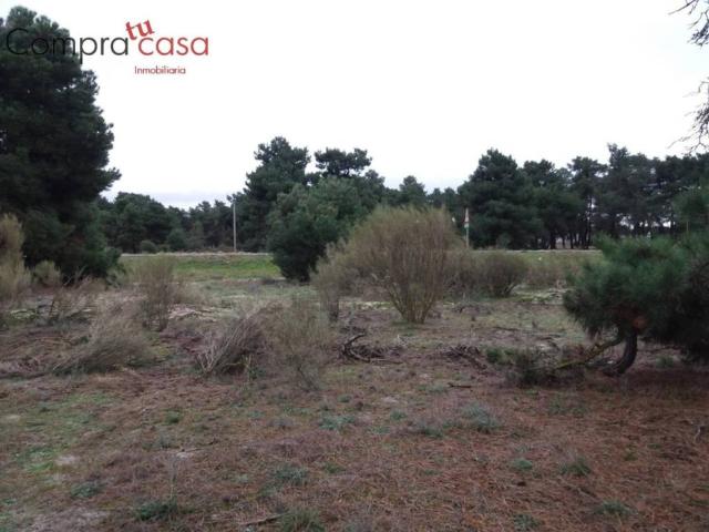 Terreno en venta en Navas De Oro