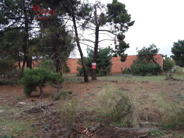 Terreno en venta en Navas De Oro, Castilla y León