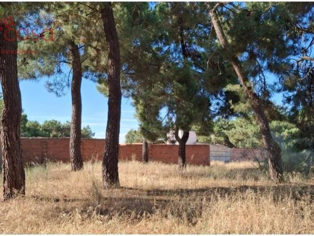 Terreno en venta en Navas De Oro