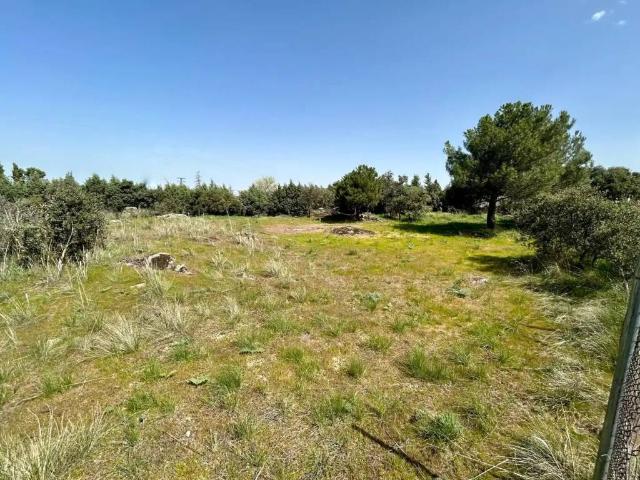 Terreno en venta en Navas De Riofrío, Castilla y León