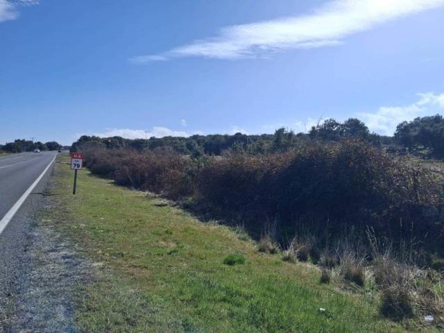 Terreno en venta en Navas De San Antonio, Castilla y León