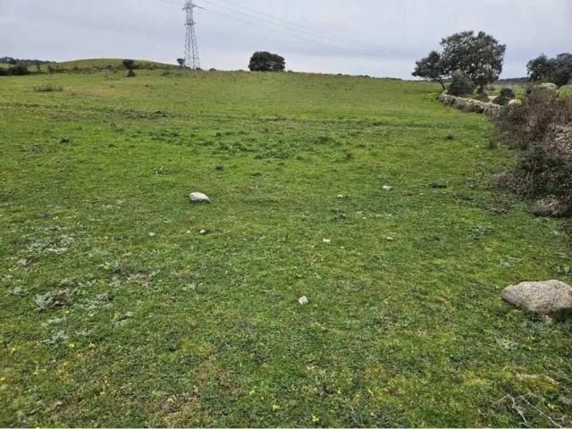 Terreno en venta en Navas Del Madroño, Extremadura