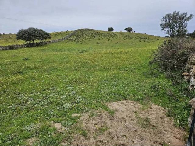 Terreno en venta en Navas Del Madroño, Extremadura