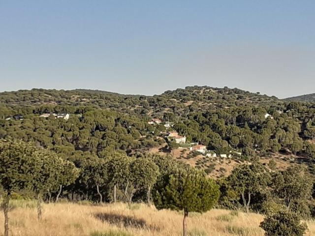 Terreno en venta en Navas Del Rey, Madrid