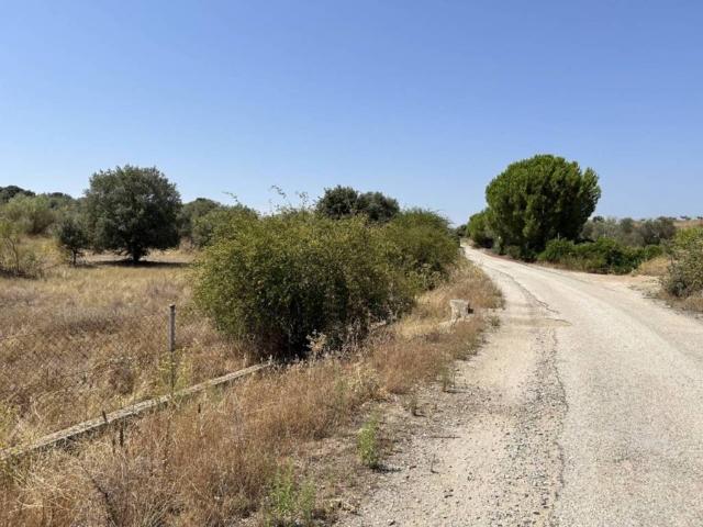 Terreno en venta en Navas Del Rey, Madrid