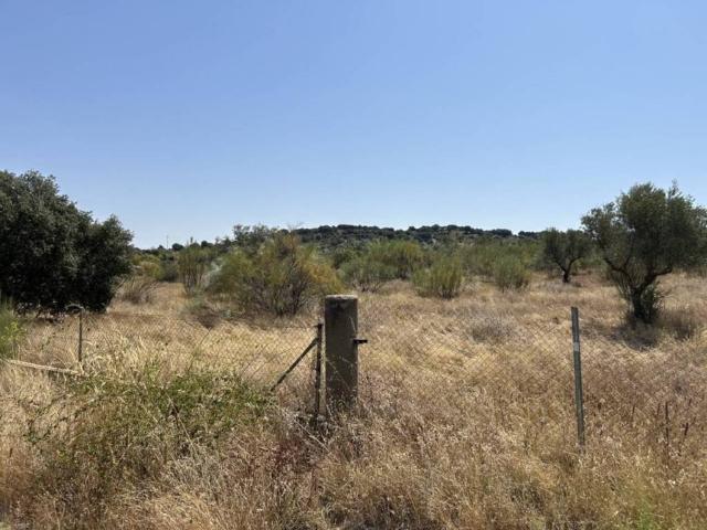 Terreno en venta en Navas Del Rey, Madrid