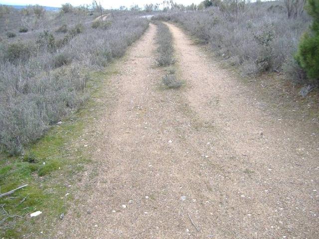 Terreno en venta en Navas Del Rey, Madrid