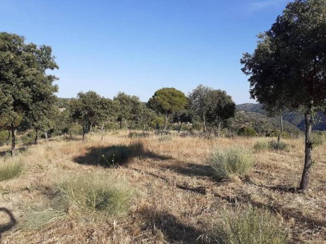 Terreno en venta en Navas Del Rey, Madrid