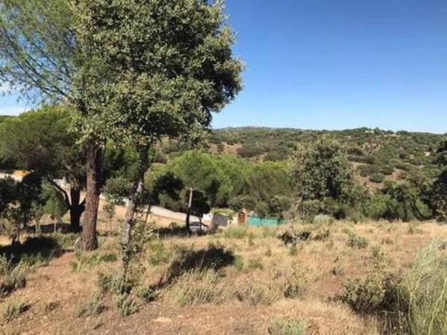 Terreno en venta en Navas Del Rey, Madrid