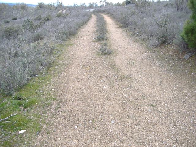 Terreno en venta en Navas del Rey, Comunidad de Madrid