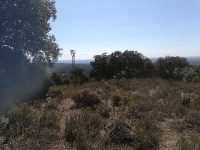 Terreno en venta en Navas Del Rey