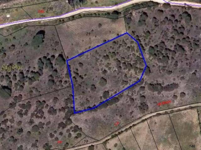 Terreno en venta en Navas Del Rey