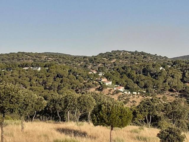 Terreno en venta en Navas Del Rey, La Rocha