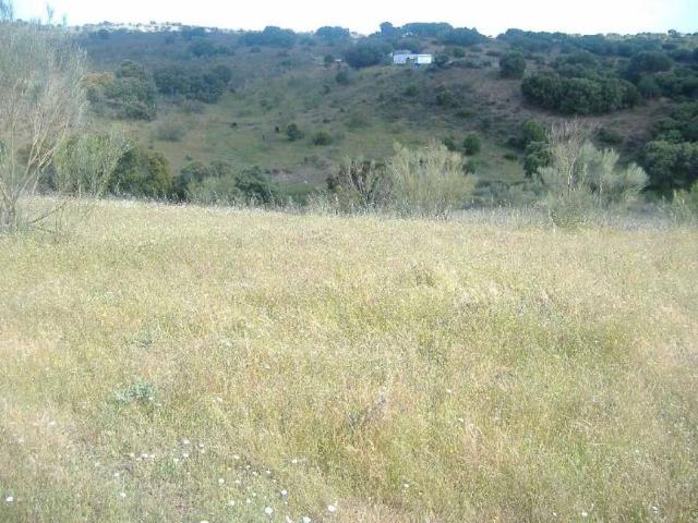 Terreno en venta en Navas Del Rey