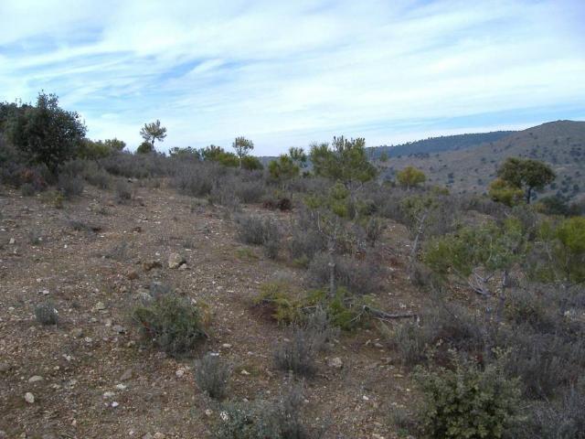 Terreno en venta en Navas Del Rey, El Morro