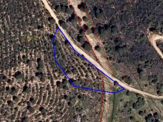 Terreno en venta en Navas Del Rey