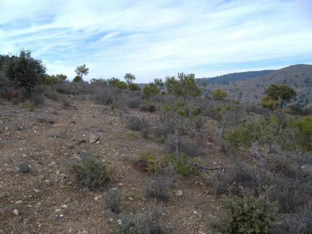 Terreno en venta en Navas Del Rey