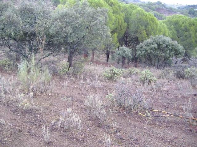 Terreno en venta en Navas Del Rey