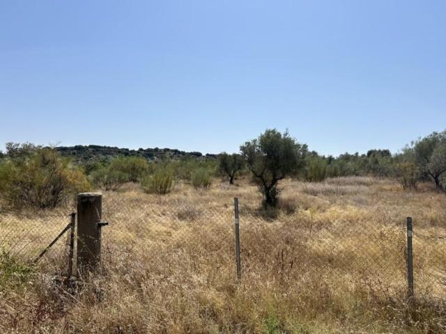 Terreno en venta en Navas Del Rey