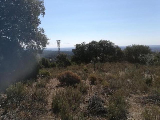 Terreno en venta en Navas Del Rey