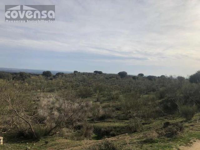 Terreno en venta en Navas Del Rey, Madrid
