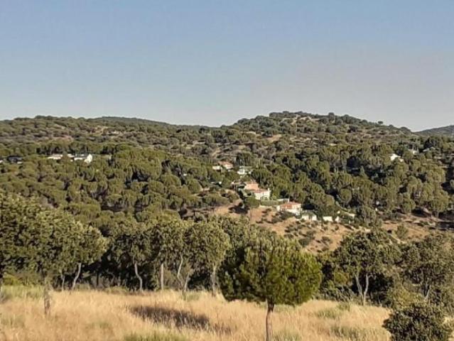 Terreno en venta en Navas Del Rey, La Rocha