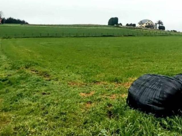 Terreno en venta en Navia, Asturias