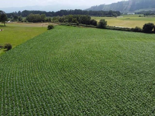 Terreno en venta en Navia, Asturias