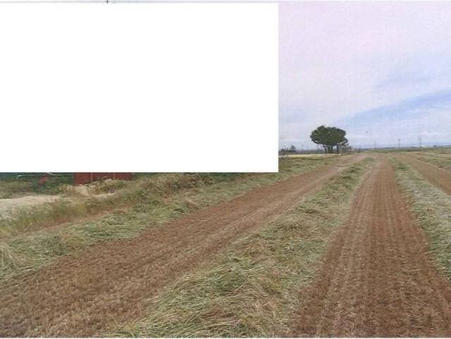 Terreno en venta en Negrilla De Palencia, Castilla y León
