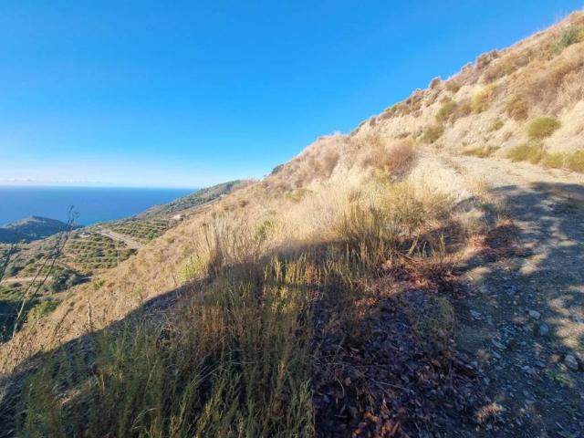 Terreno en venta en La Axarquía, Andalucía