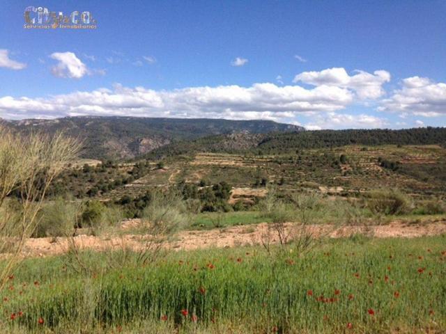 Terreno en venta en Nerpio, Castilla-La Mancha