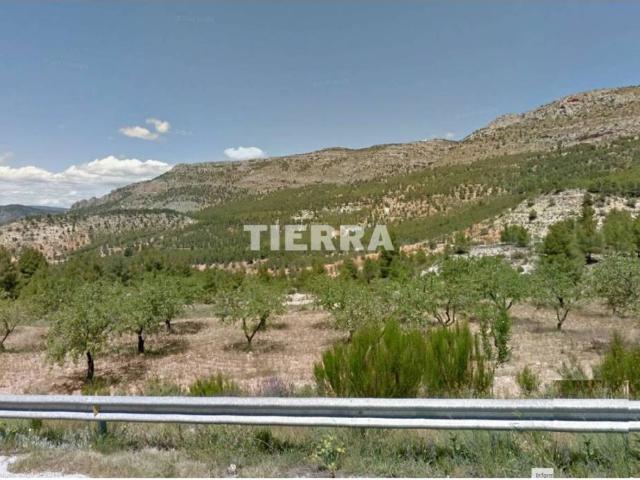 Terreno en venta en Nerpio, Castilla-La Mancha