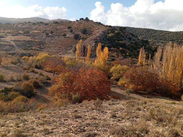 Terreno en venta en Nerpio, Castilla-La Mancha