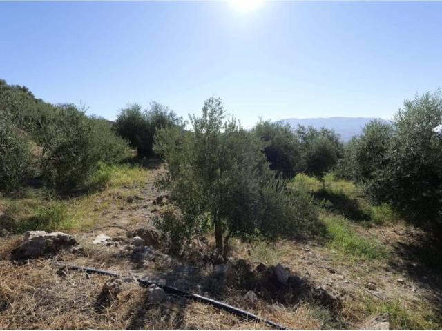 Terreno en venta en Mairena, Comarca de la Alpujarra Granadina
