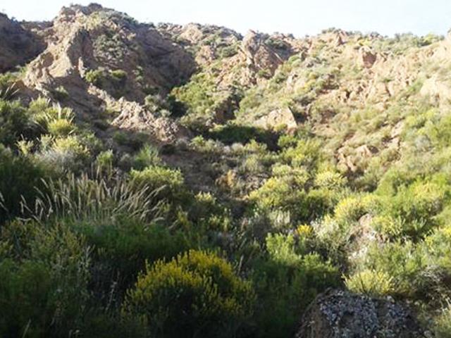 Terreno en venta en Nevada