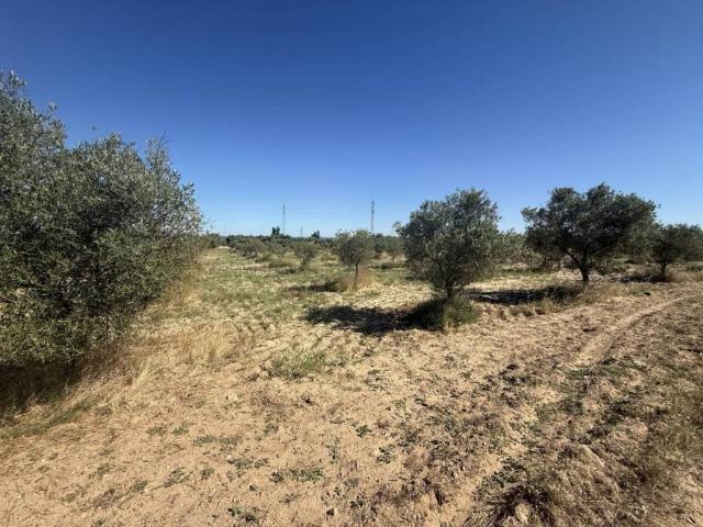 Terreno en venta en El Condado, Andalucía