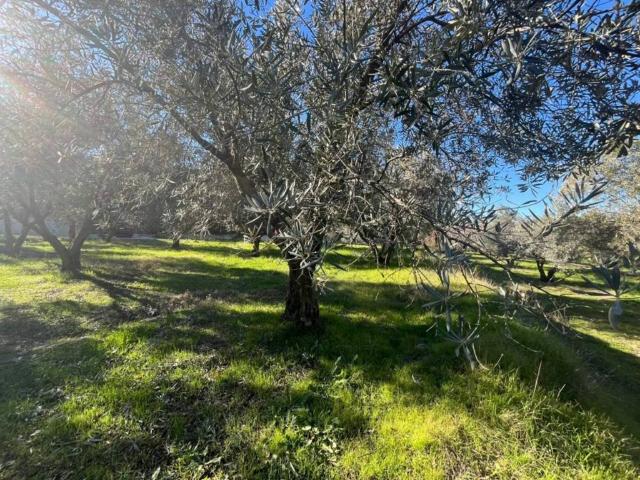 Terreno en venta en Comarca del Valle de Lecrín, Andalucía