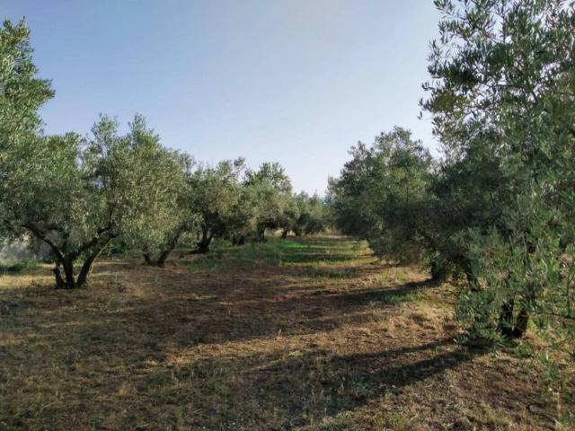Terreno en venta en Comarca del Valle de Lecrín, Andalucía
