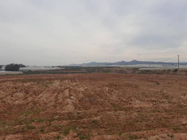 Terreno en venta en Níjar, Andalucía