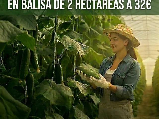 Terreno en venta en Níjar, Andalucía