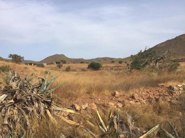 Terreno en venta en Níjar, Andalucía