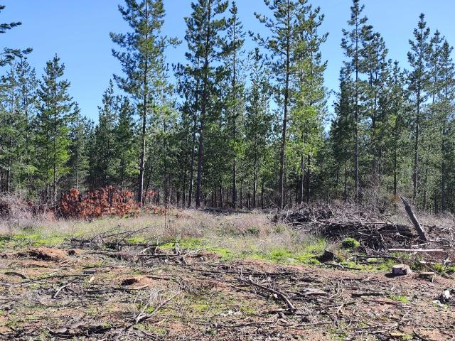 Terreno en venta en Ñuble